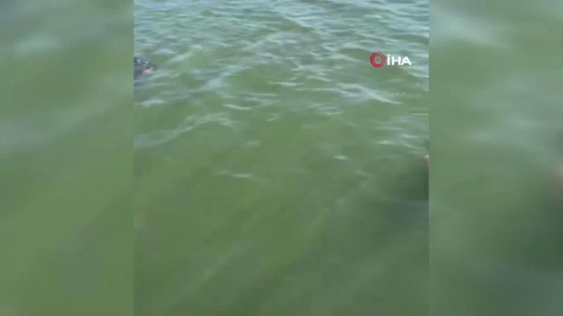 Girdiği göletten cansız bedeni çıkarıldı