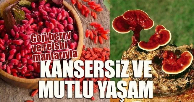 GOJİ BERRY VE REİSHİ MANTARIYLA KANSERSİZ VE MUTLU YAŞAM