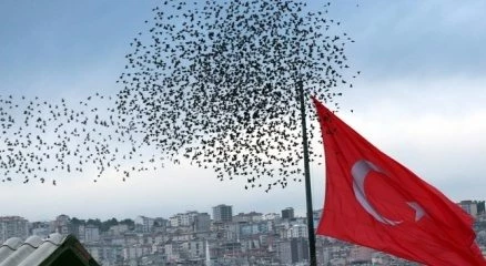 Gökyüzünde sığırcık şöleni