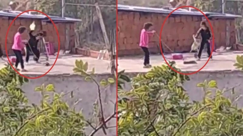 Görüntüler, izleyenleri dehşete düşürdü! Kediye eziyet iddiasına soruşturma başlatıldı