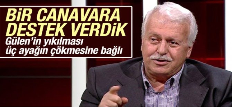 Gülerce: Bir canavara destek verdik