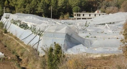 Gürültüye uyandılar: Gördükleri manzara şoke etti
