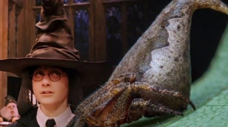 Harry Potter karakteri olarak görülen keşif