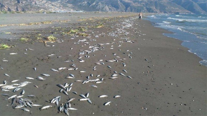 Hatay'da korkutan manzara