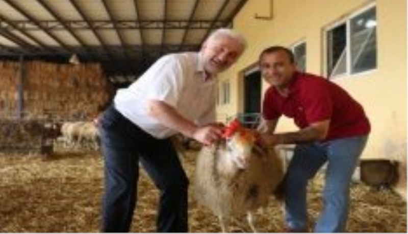 İlk kez kurban kesecekler