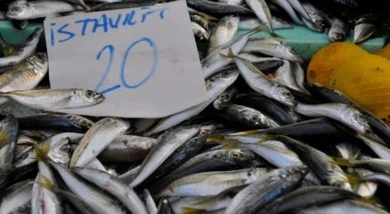 İstavrit fiyatı tavan yaptı