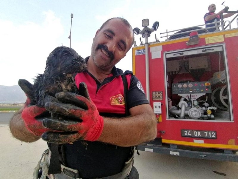 İtfaiye ekipleri kanalizasyona düşen köpek yavrusu için seferber oldu