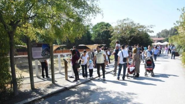 İzmirliler Doğal Yaşam Parkı`nı Çok Sevdi