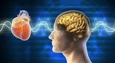 Kalbin Zekası Nedir?
