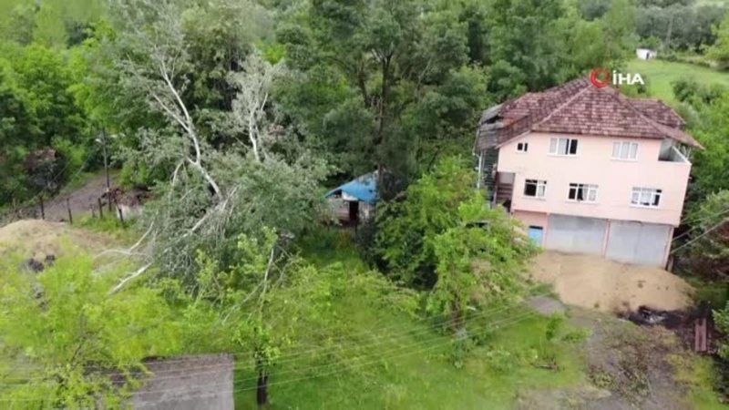 Kardeşlerin fıkra gibi arazi kavgası! 92 yaşındaki babaları dikenli tellerden atlayıp eve giriyor