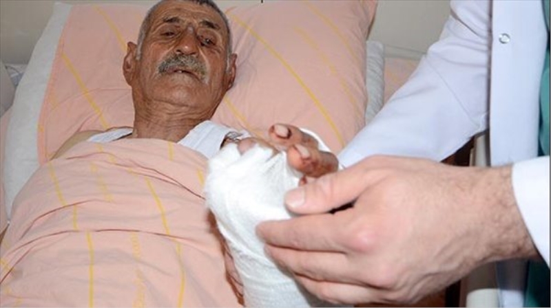 Kars`ta ayı saldırısı