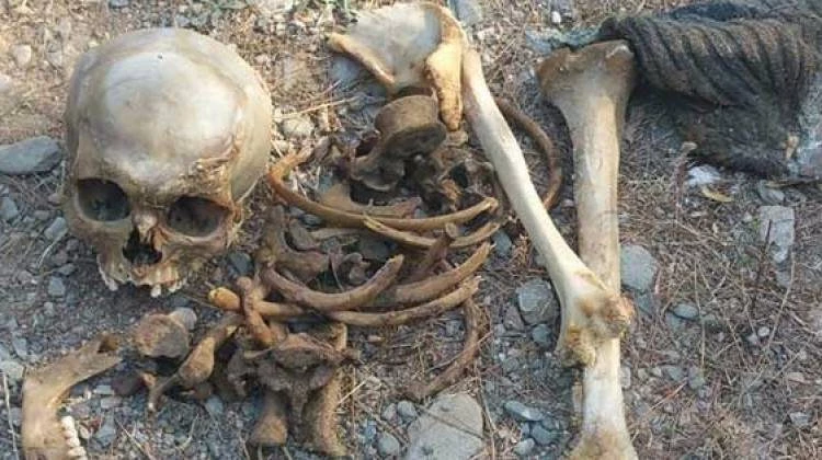 Kaybolduktan 3 ay sonra kemikleri bulundu