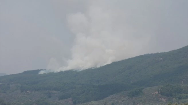 Kazdağları`nda yangın! 4 ayrı noktada aynı anda
