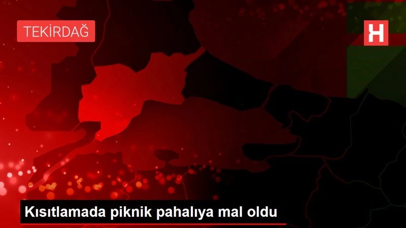 Kısıtlamada piknik pahalıya mal oldu