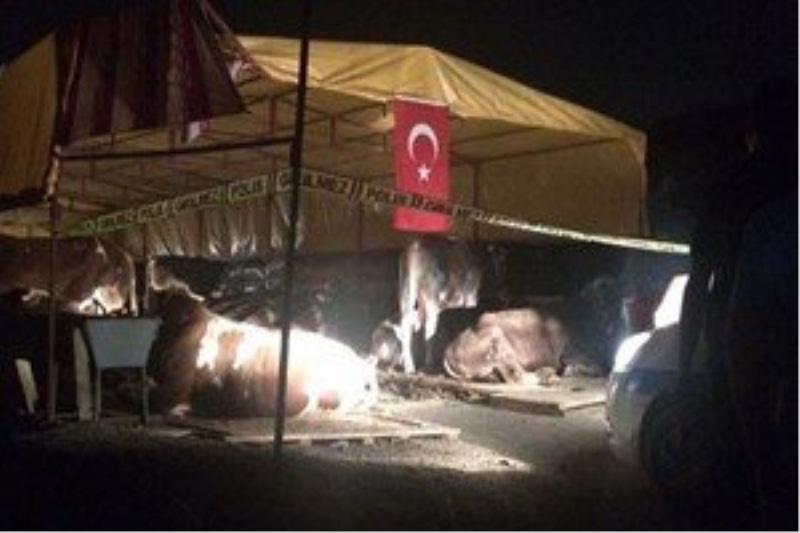 Kurban pazarında silahlı kavga!...