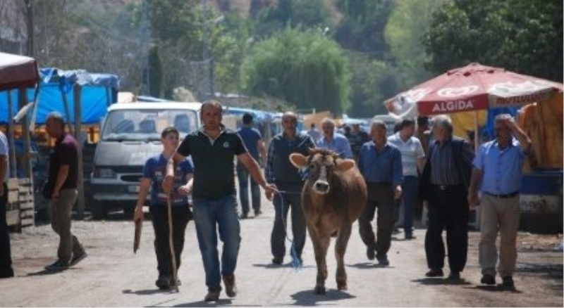 Kurban pazarının en büyükleri 11 bin ile 2 bin liradan satışa çıkarıldı