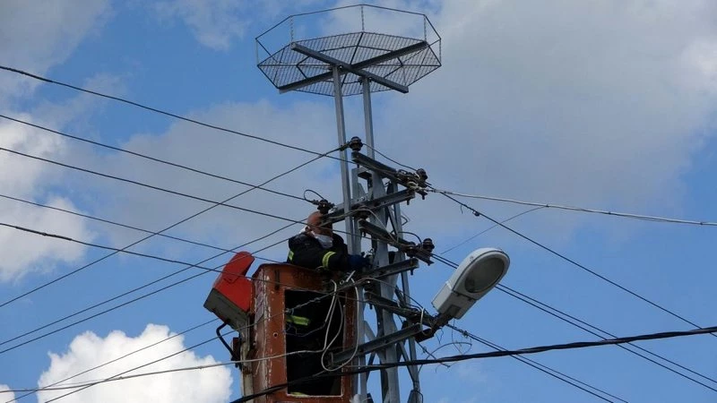 Leyleklerin akıma kapılmaması için elektrik direklerine özel platformlar kuruluyor