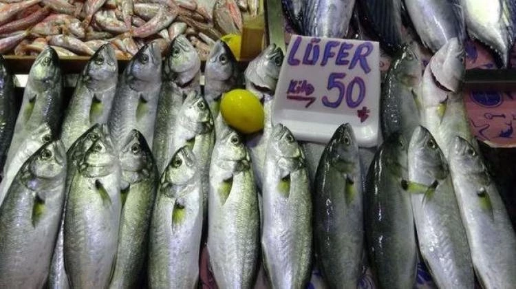 Lüfer kırmızı etle yarışıyor