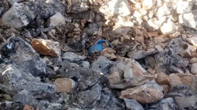 Mardin`de el yapımı patlayıcı ele geçirildi