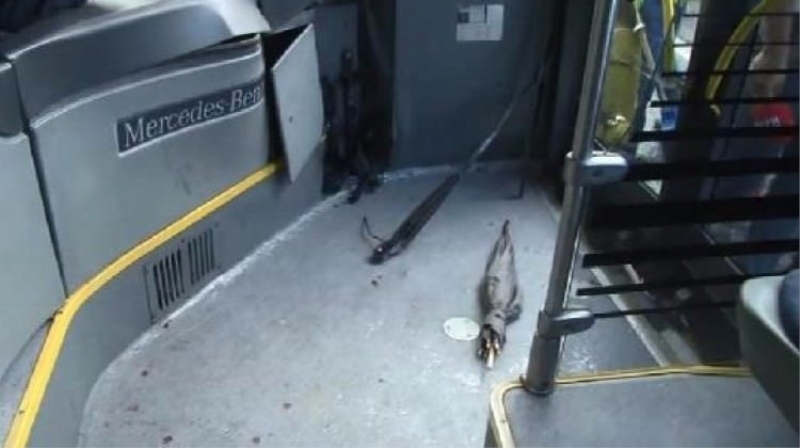 Metrobüsteki dikkat çeken şemsiye