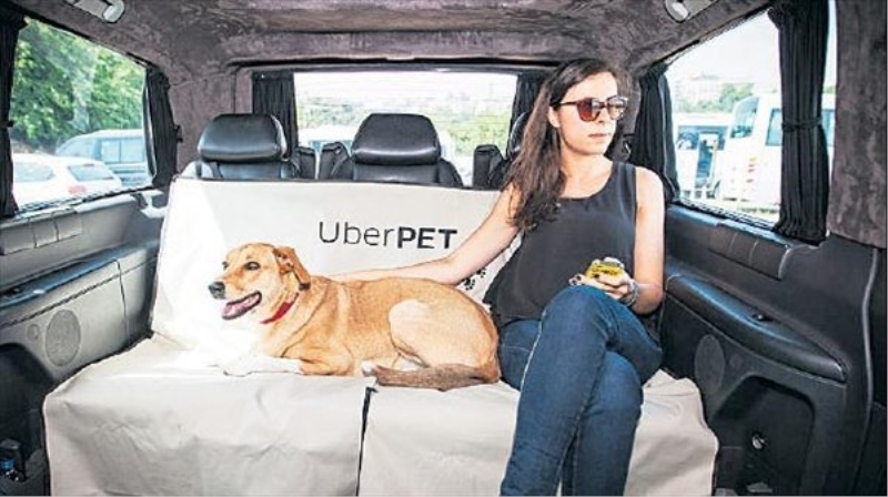Minik dostlar da ?Uber?lenecek!