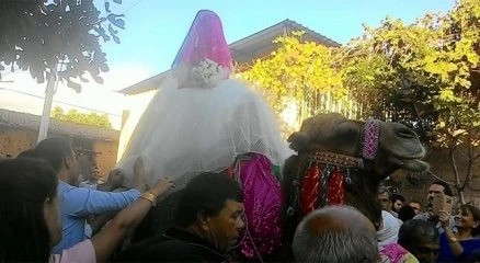 Mühendis gelin lüks otomobili bırakıp deveye bindi