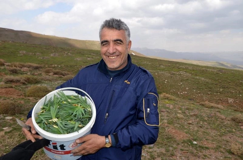 Muş`ta baharın müjdecisi 