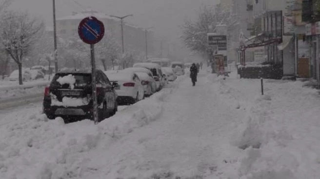 Muş`ta mart karı 30 köy yolunu kapattı