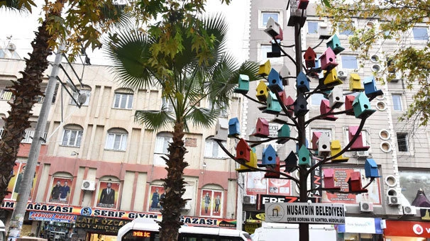 Nusaybin`de parktaki ağaca kuşlar için rengarenk yuvalar