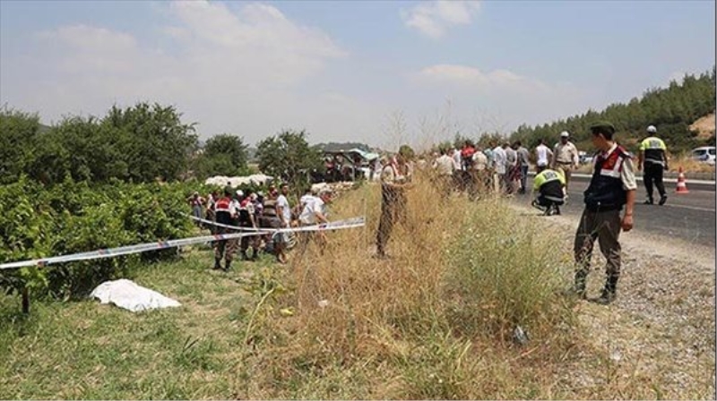 Ölüm, üzüm satarken yakaladı