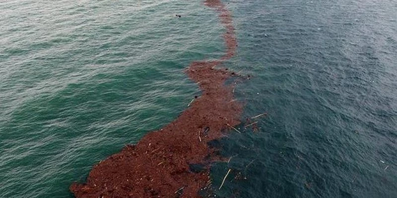 Ordu`daki sel felaketinin bilançosu açıklandı!