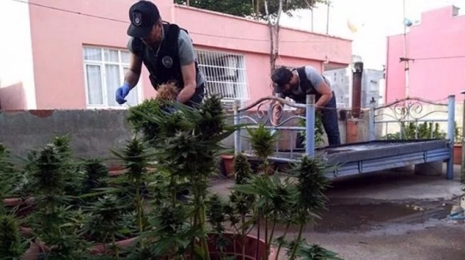 Pişkinliğin bu kadarı! Savunması `pes` dedirtti