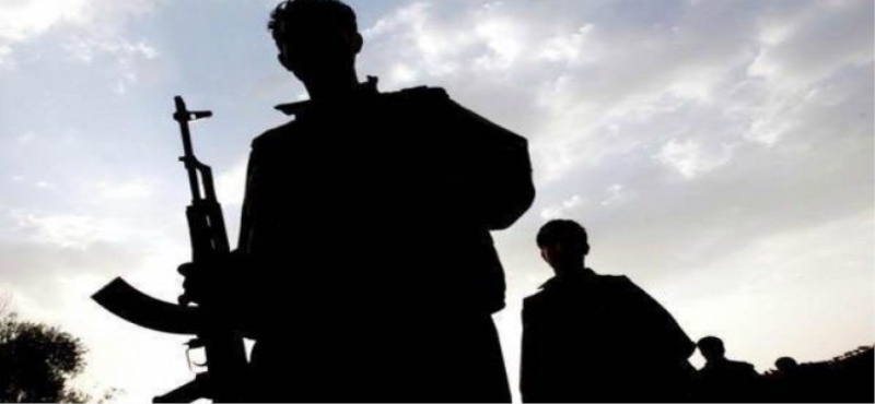 PKK'nın üst düzey ismi öldürüldü