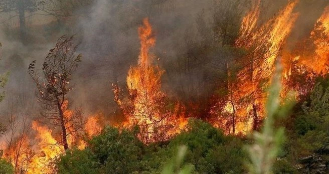 PKK`dan Ege ormanlarını yakma talimatı!