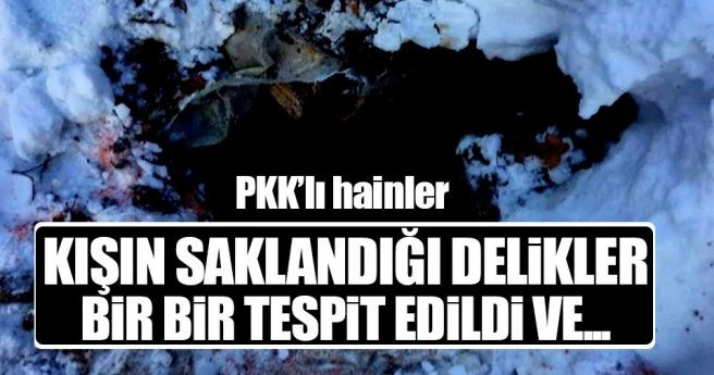 PKK`nın Tunceli`deki kış tertiplenmesine darbe