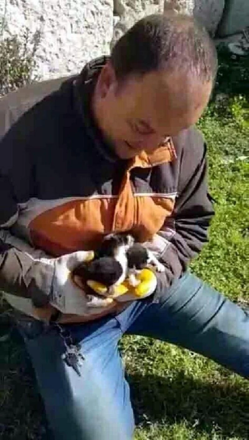 POŞETLE ÇÖPE ATILAN 4 YAVRU KEDİYİ BELEDİYENİN TEMİZLİK İŞÇİLERİ KURTARDI