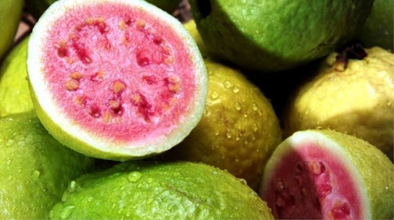 Saç dökülmesinden koruyan guava meyvesinin faydaları