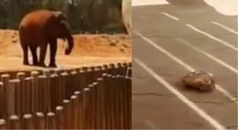 Şaka gibi olay: Üzücü bir ölüm!