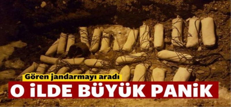 Sakarya'da  Büyük Panik Gören jandarmayı aradı!
