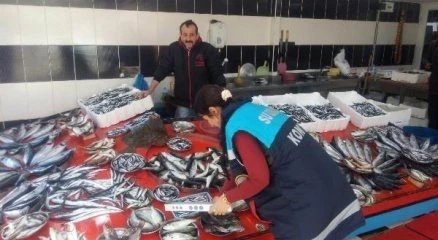 Samsun?da bin 772 kilo balığa el konuldu