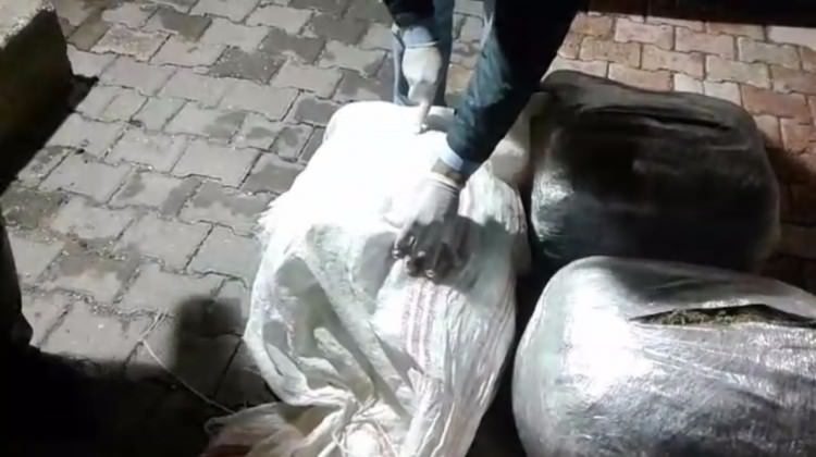 Şanlıurfa'da 54 kilogram esrar ele geçirildi
