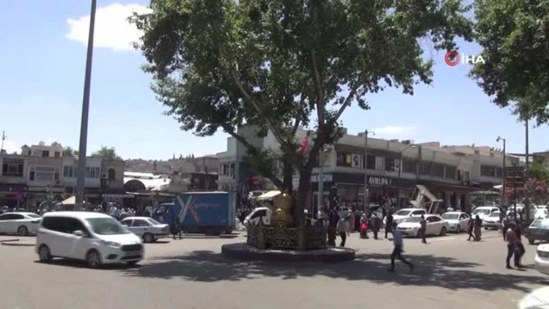Şanlıurfa`da Covid-19 aşılarını yaptıran yaşlılar normal hayata döndü