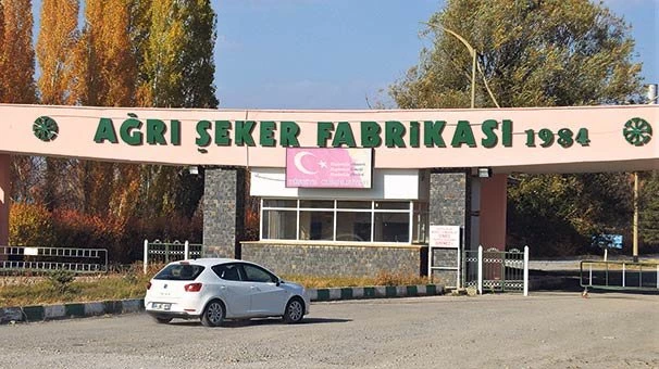 Şeker gibi yatırım!