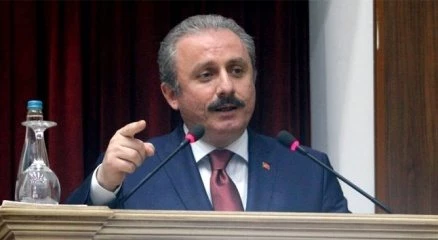 Şentop Anayasa referandumu için baharı işaret etti