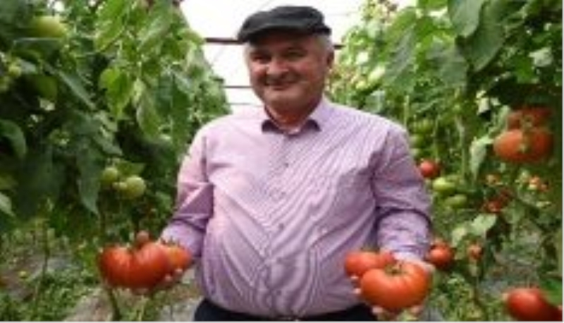 Seracılığın yeni gözdesi Söğüt