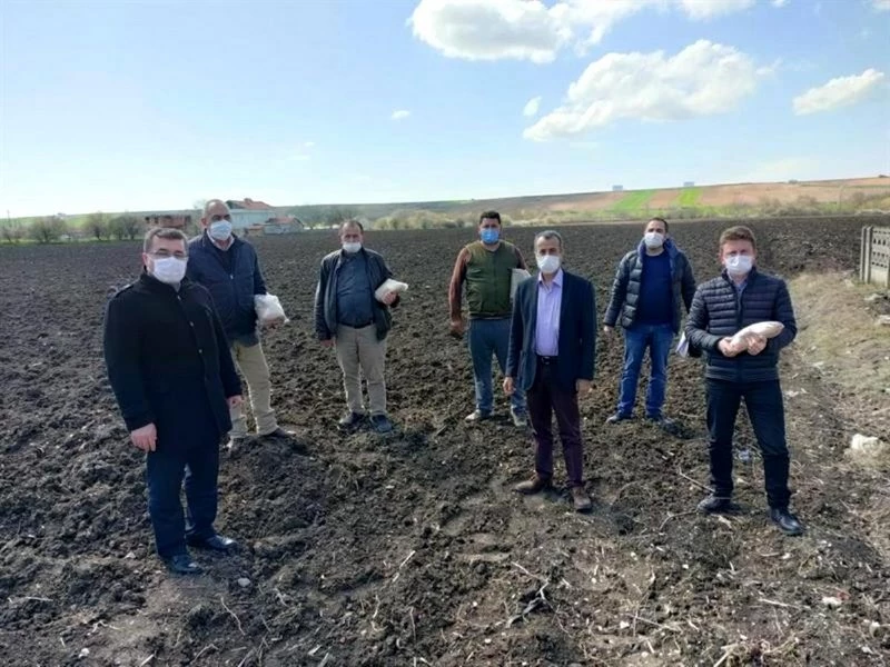 Silajlık mısır çeşit demonstrasyonlarına ait tohumlar teslim edildi