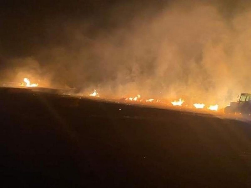 Silivri`de buğday tarlası alevlere teslim oldu