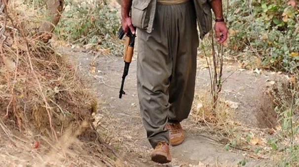 Silopi ve Nusaybin`de 5 terörist teslim oldu