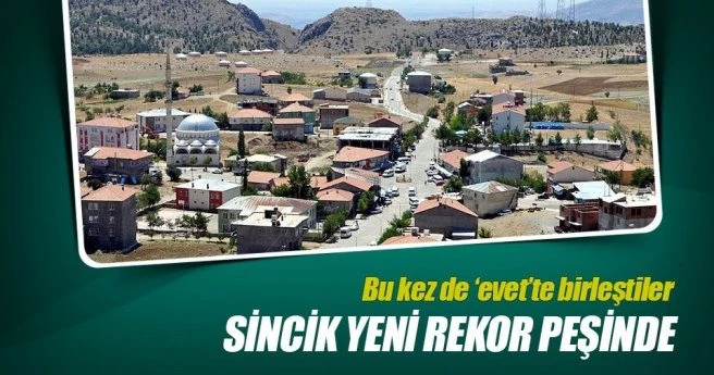 Sincik yeni rekor peşinde