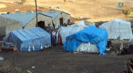 Şırnaklı aileler çadır ve ahırlarda kalıyor
